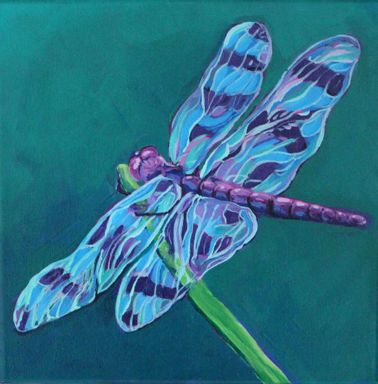Dragonfly