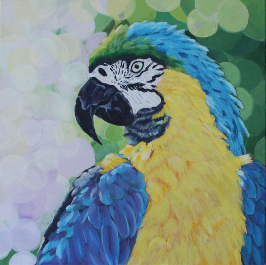 Pretty Parrot