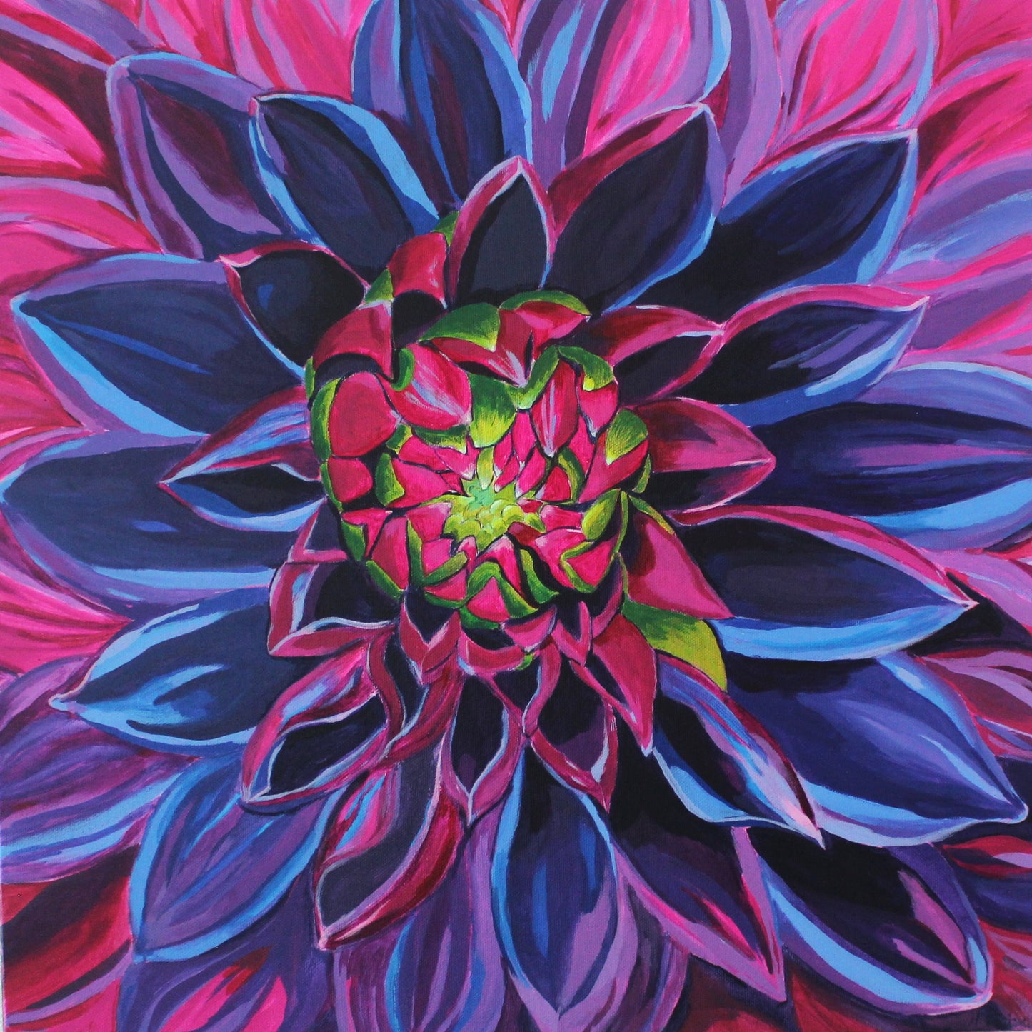 Wild Dahlia
