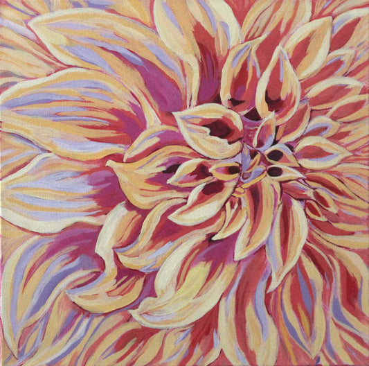 Yellow Dahlia