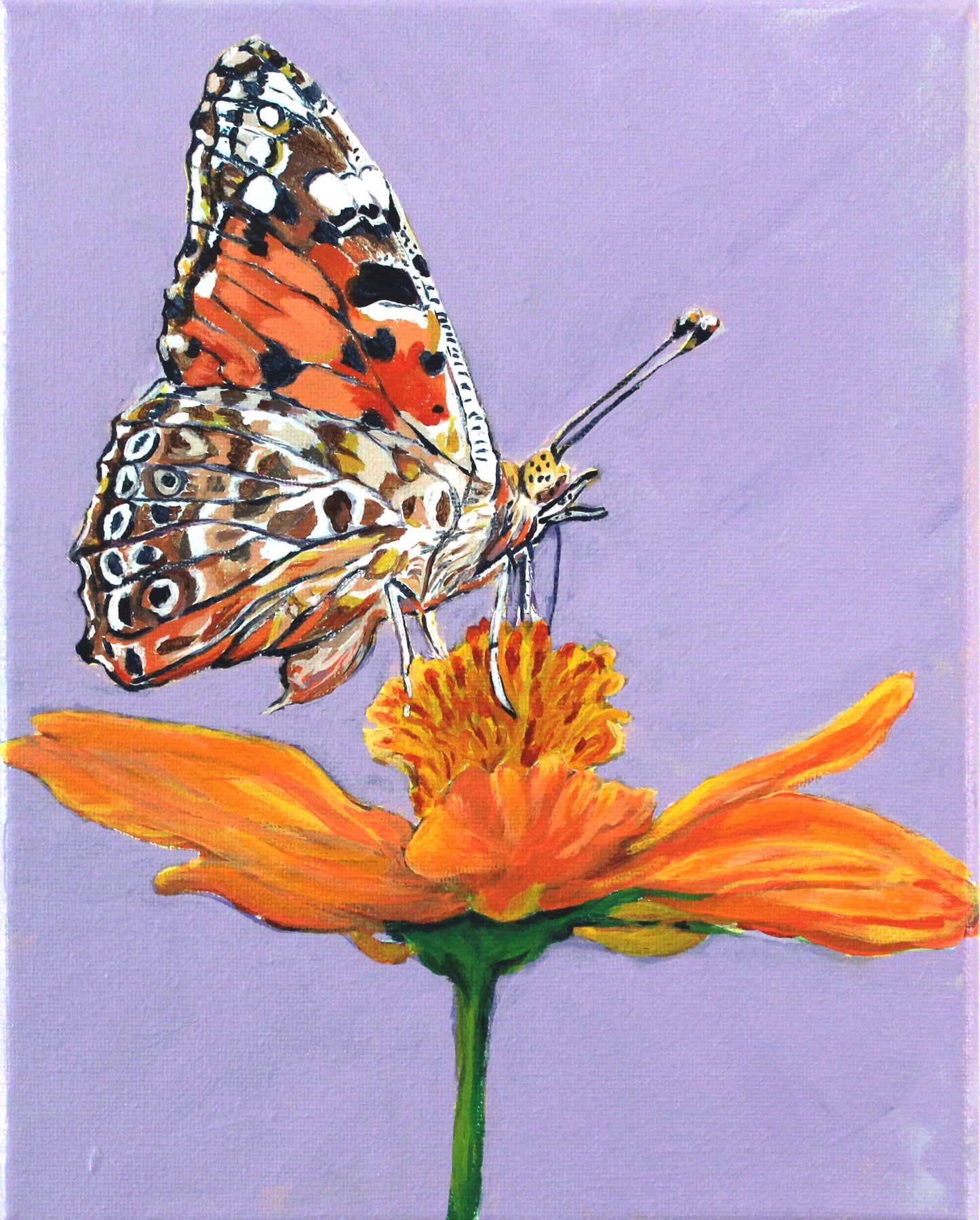 Butterfly on Flower