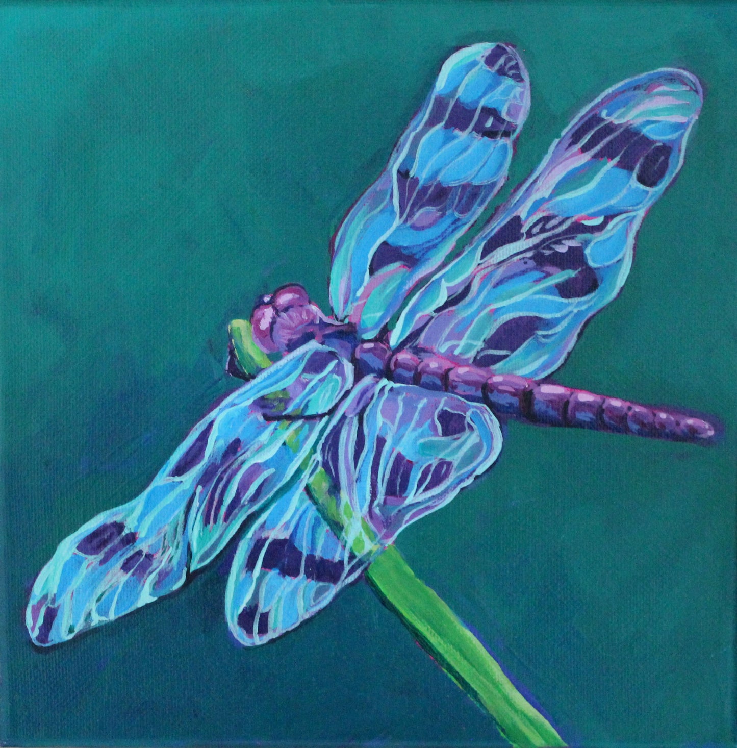 Dragonfly