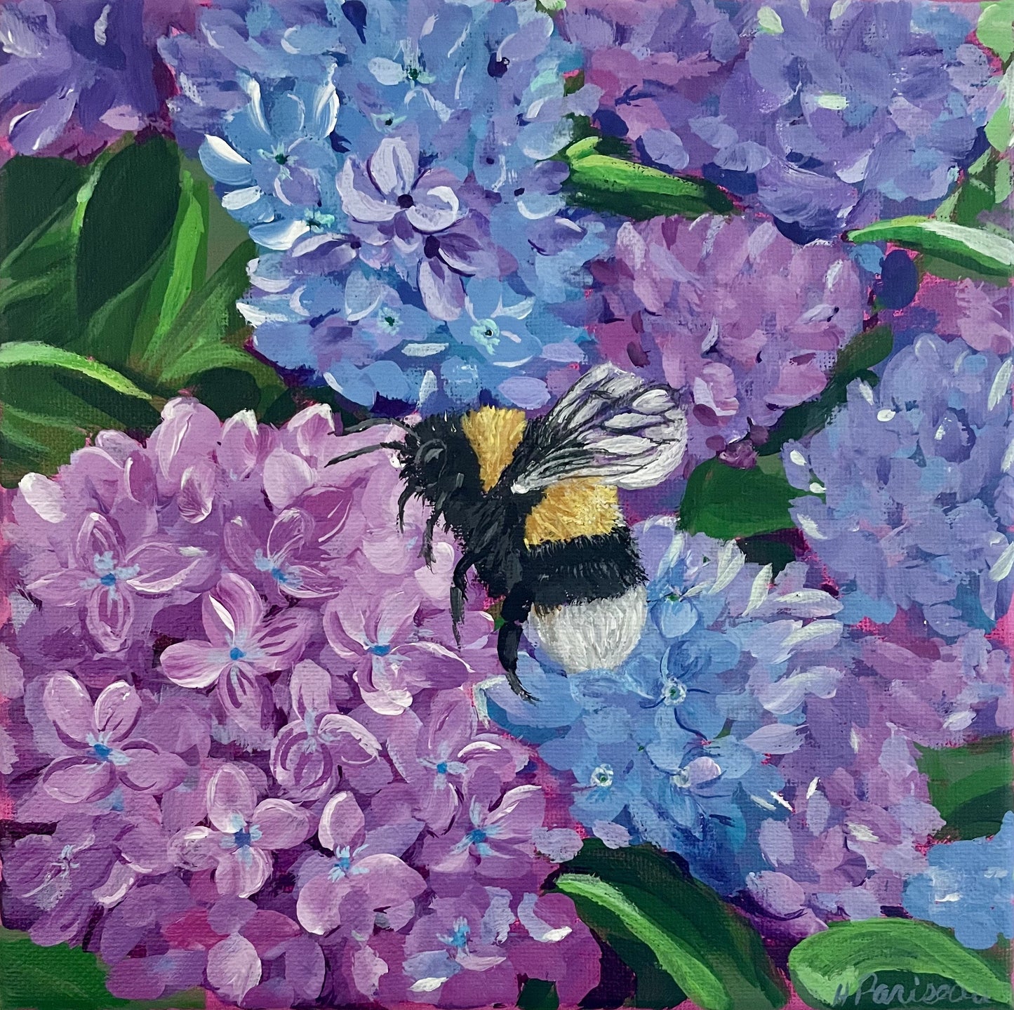 Bee & Hydrangeas