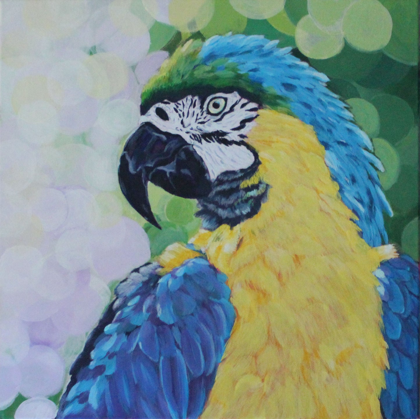 Pretty Parrot