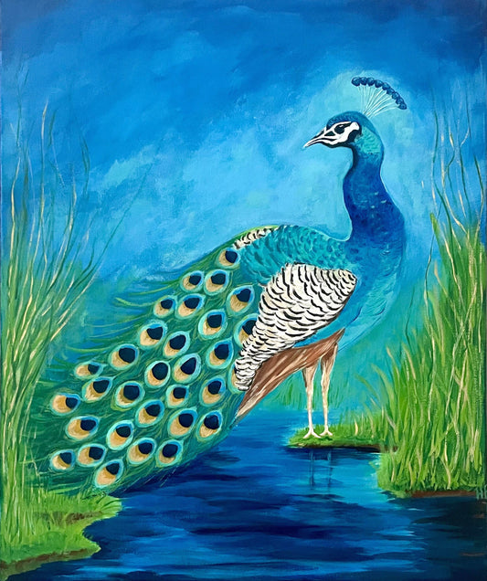 Peacock in the Marsh