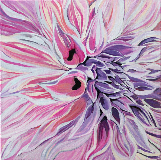 Pink and Purple Dahlia