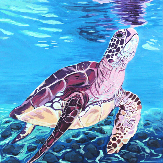Under the Sea Turtle