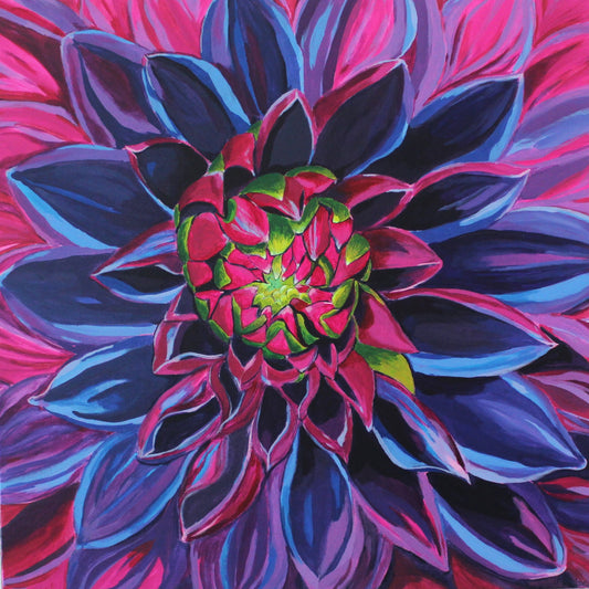 Wild Dahlia